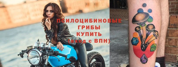 mdpv Верея